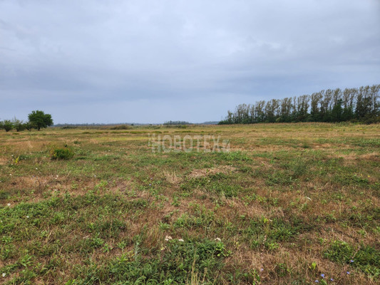 Продам участок 40,54 соток, ИЖС, Бурсаки х, 0 км от города