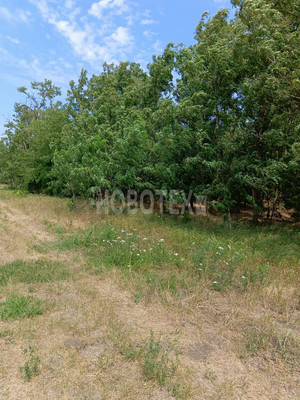 Продам участок 40,54 соток, ИЖС, Бурсаки х, 0 км от города