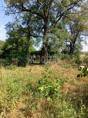 Продам участок 40,54 соток, ИЖС, Бурсаки х, 0 км от города