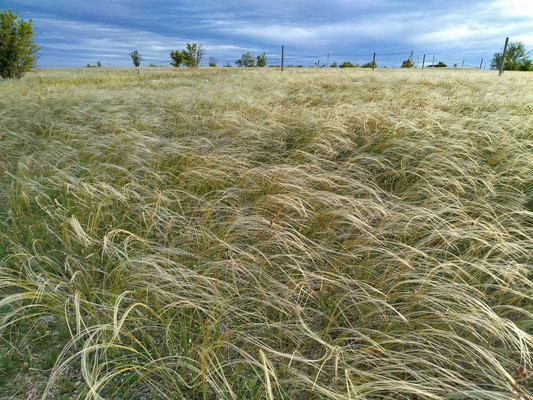 Продам дом, Специалистов ул, 6, Дубки с, 0 км от города