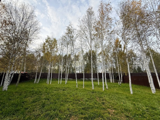 Продам коттедж в поселке Цветмет, Цветмет снт, 1, Екатеринбург г, 16 км от города