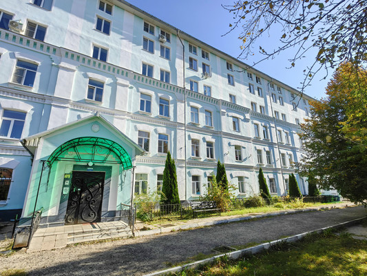 Продам однокомнатную (1-комн.) квартиру, Серпуховская ул, 4, Липицы с