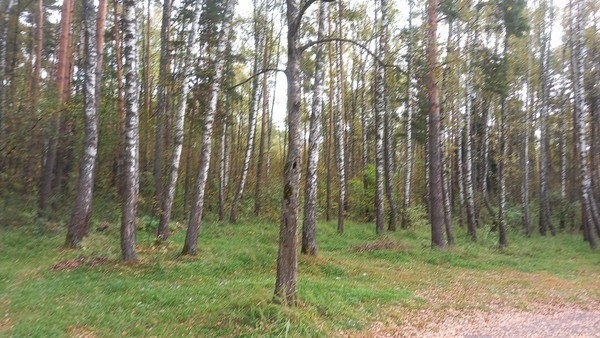 Продам участок 15 соток, ИЖС, Качаброво д, 0 км от города