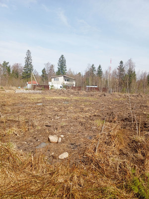 Продам участок 13,22 соток, Фермерское хоз., Лесная ул, Сосновый Бор г, 0 км от города