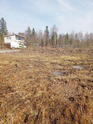 Продам участок 13,22 соток, Фермерское хоз., Лесная ул, Сосновый Бор г, 0 км от города