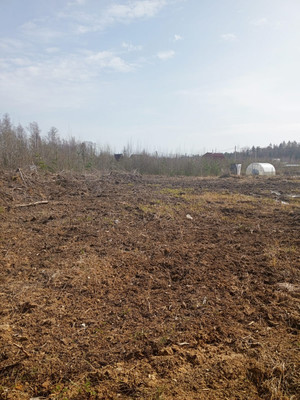 Продам участок 13,22 соток, Фермерское хоз., Лесная ул, Сосновый Бор г, 0 км от города