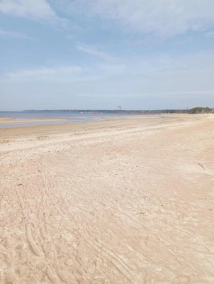 Продам участок 13,22 соток, Фермерское хоз., Лесная ул, Сосновый Бор г, 0 км от города