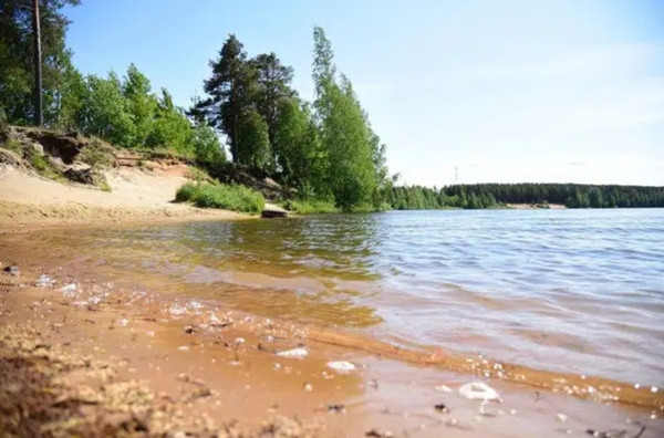 Продам участок 13,22 соток, Фермерское хоз., Лесная ул, Сосновый Бор г, 0 км от города