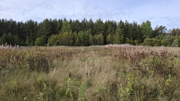 Продам участок 20 соток, ИЖС, Емское д, 0 км от города