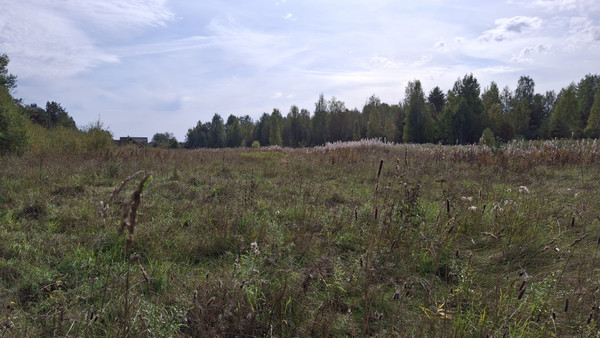 Продам участок 20 соток, ИЖС, Емское д, 0 км от города