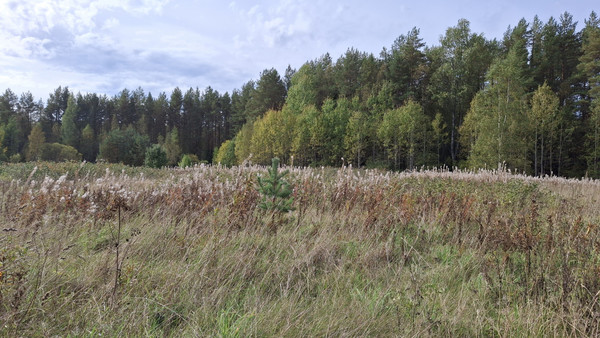 Продам участок 20 соток, ИЖС, Емское д, 0 км от города