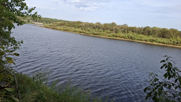 Продам участок 20 соток, ИЖС, Емское д, 0 км от города