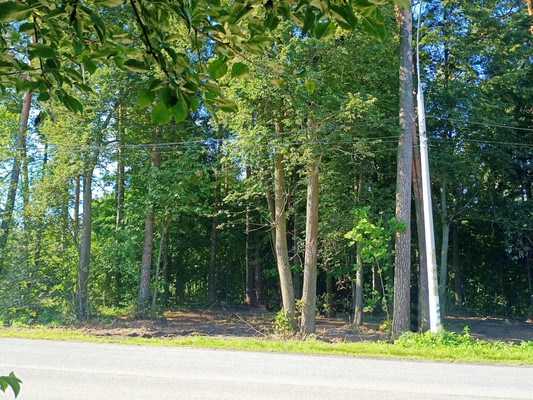 Продам участок 17 соток, ИЖС, 2а, Скурыгино д, 0 км от города