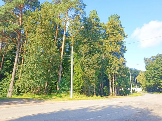 Продам участок 17 соток, ИЖС, 2а, Скурыгино д, 0 км от города