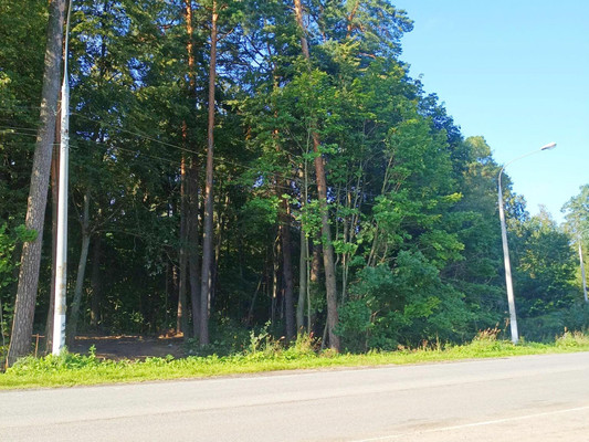 Продам участок 17 соток, ИЖС, 2а, Скурыгино д, 0 км от города