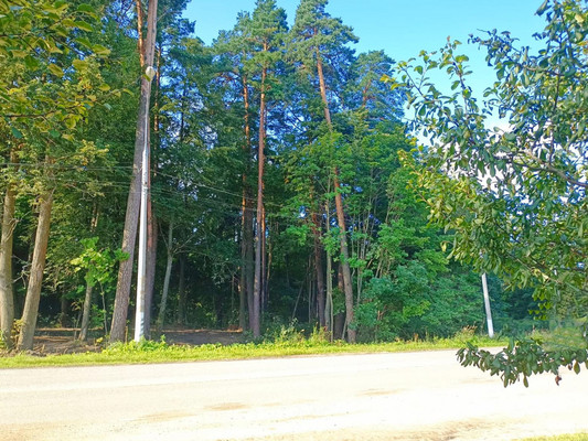 Продам участок 17 соток, ИЖС, 2а, Скурыгино д, 0 км от города