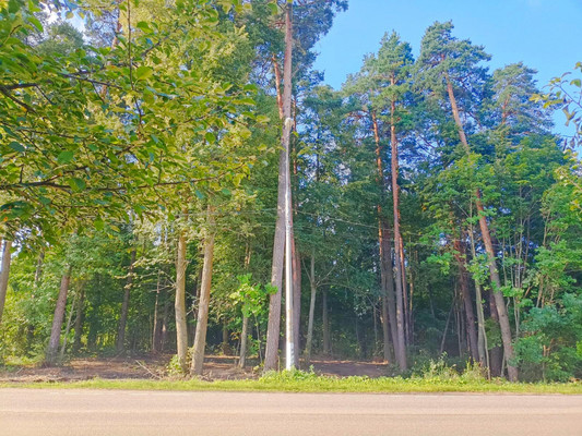 Продам участок 17 соток, ИЖС, 2а, Скурыгино д, 0 км от города