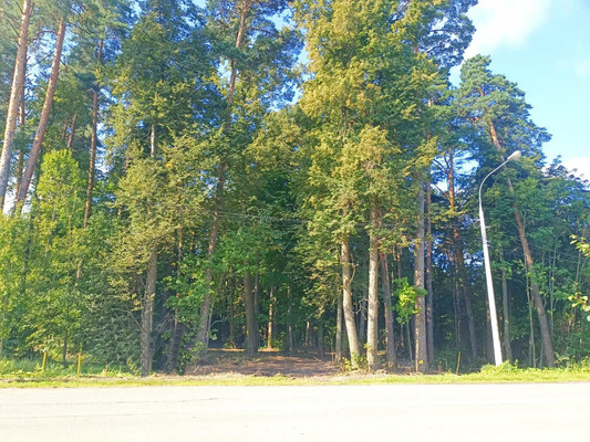 Продам участок 17 соток, ИЖС, 2а, Скурыгино д, 0 км от города