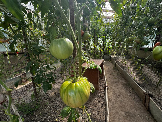 Продам дом, Березовая ул, Чехов г, 0 км от города