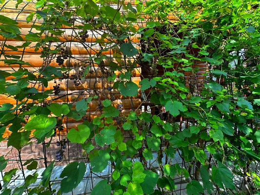 Продам дом, Березовая ул, Чехов г, 0 км от города