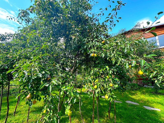 Продам дом, Березовая ул, Чехов г, 0 км от города