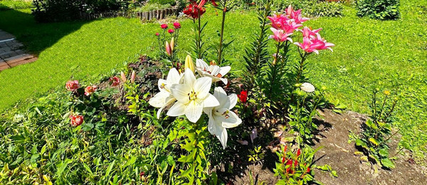 Продам дом, Машиностроитель тер. СНТ, Репниково д, 0 км от города