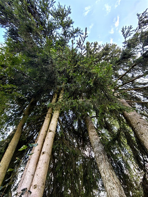 Продам дом, Чехов-3 г, 0 км от города