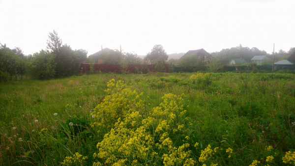 Продам участок 20 соток, ИЖС, 6а, Голыгино д, 0 км от города