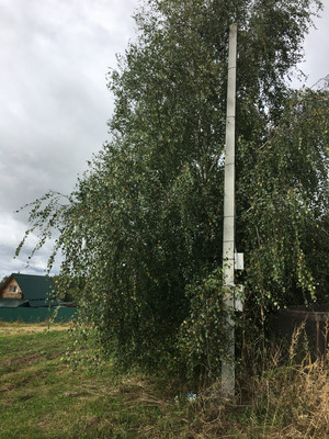 Продам участок 20 соток, ИЖС, 6а, Голыгино д, 0 км от города