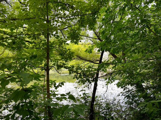 Продам дом, Первомайская ул, Чехов г, 0 км от города