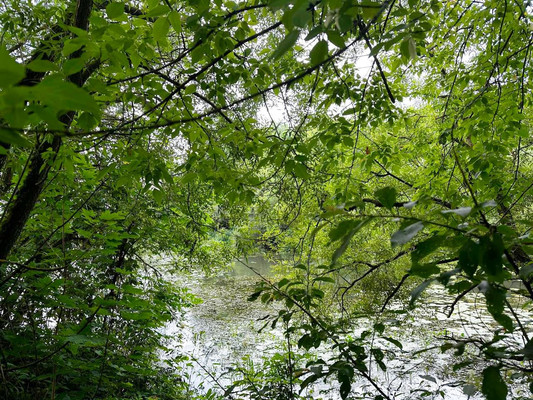 Продам дом, Первомайская ул, Чехов г, 0 км от города