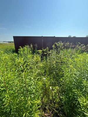 Продам участок 10 соток, Фермерское хоз., Бершово д, 0 км от города