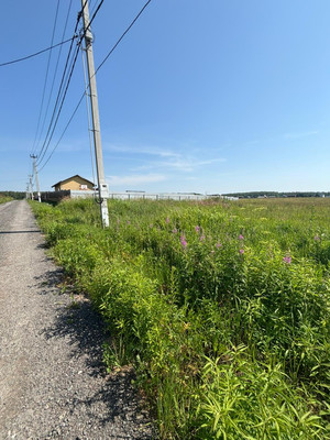 Продам участок 10 соток, Фермерское хоз., Бершово д, 0 км от города