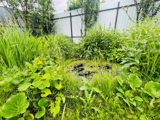 Продам дом, Жальское д, 0 км от города