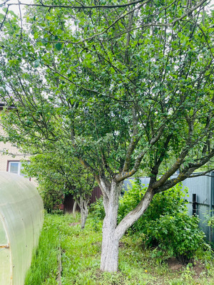 Продам дом, Жальское д, 0 км от города