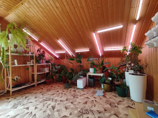 Продам дом, СНТ СН Экономика-2 тер, Верхнее Пикалово д, 0 км от города