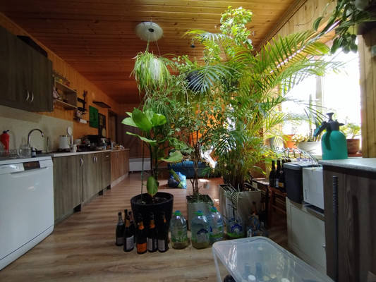 Продам дом, СНТ СН Экономика-2 тер, Верхнее Пикалово д, 0 км от города