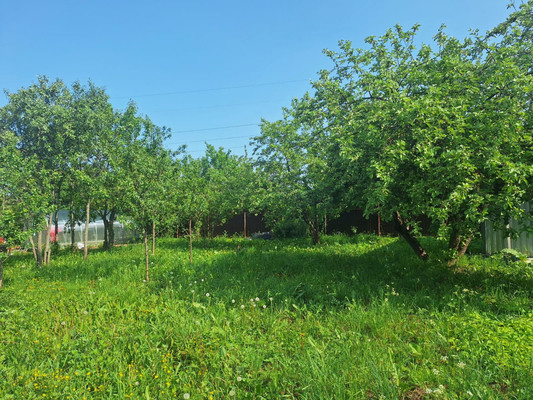 Продам участок 6 соток, ИЖС, Центральная ул, 45, Захарково д, 0 км от города