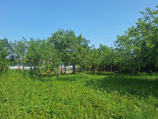 Продам участок 6 соток, ИЖС, Центральная ул, 45, Захарково д, 0 км от города