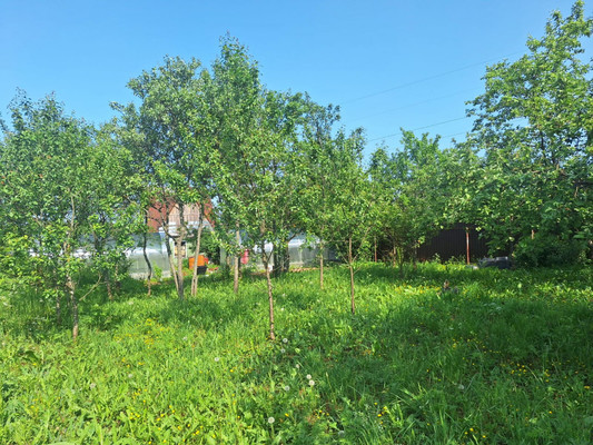 Продам участок 6 соток, ИЖС, Центральная ул, 45, Захарково д, 0 км от города