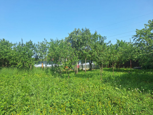 Продам участок 6 соток, ИЖС, Центральная ул, 45, Захарково д, 0 км от города