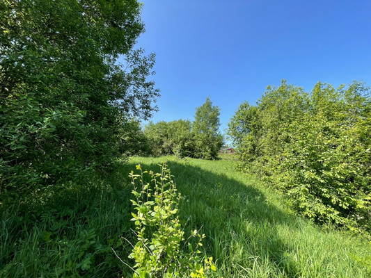 Продам участок 14,5 соток, ИЖС, Лесная ул, 19, Арнеево д, 0 км от города