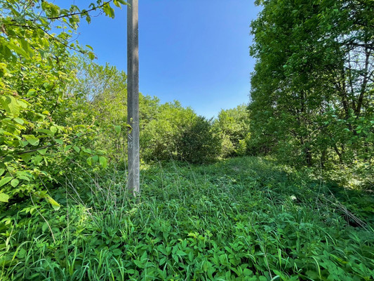 Продам участок 14,5 соток, ИЖС, Лесная ул, 19, Арнеево д, 0 км от города