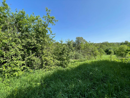 Продам участок 14,5 соток, ИЖС, Лесная ул, 19, Арнеево д, 0 км от города