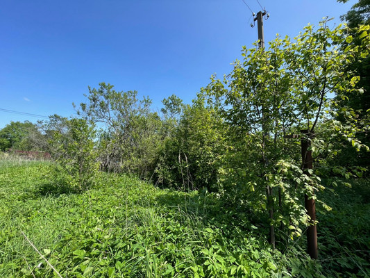 Продам участок 14,5 соток, ИЖС, Лесная ул, 19, Арнеево д, 0 км от города