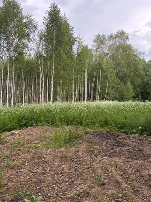 Продам участок 22 соток, ИЖС, Васькино д, 0 км от города