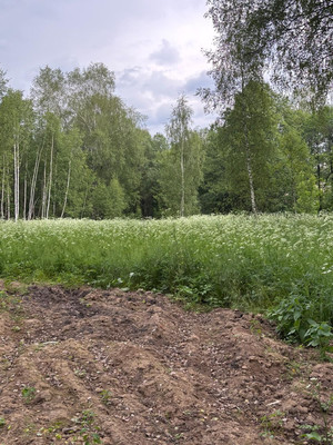 Продам участок 22 соток, ИЖС, Васькино д, 0 км от города