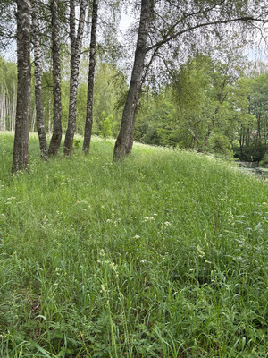 Продам участок 22 соток, ИЖС, Васькино д, 0 км от города