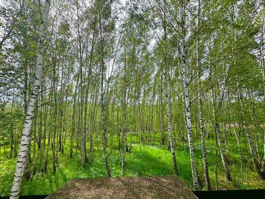 Продам дом, Ветерок тер. СНТ, Люторецкое д, 0 км от города