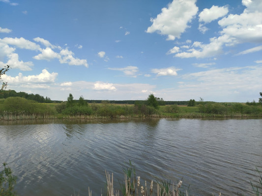 Продам участок 10 соток, ИЖС, Стремилово с, 0 км от города